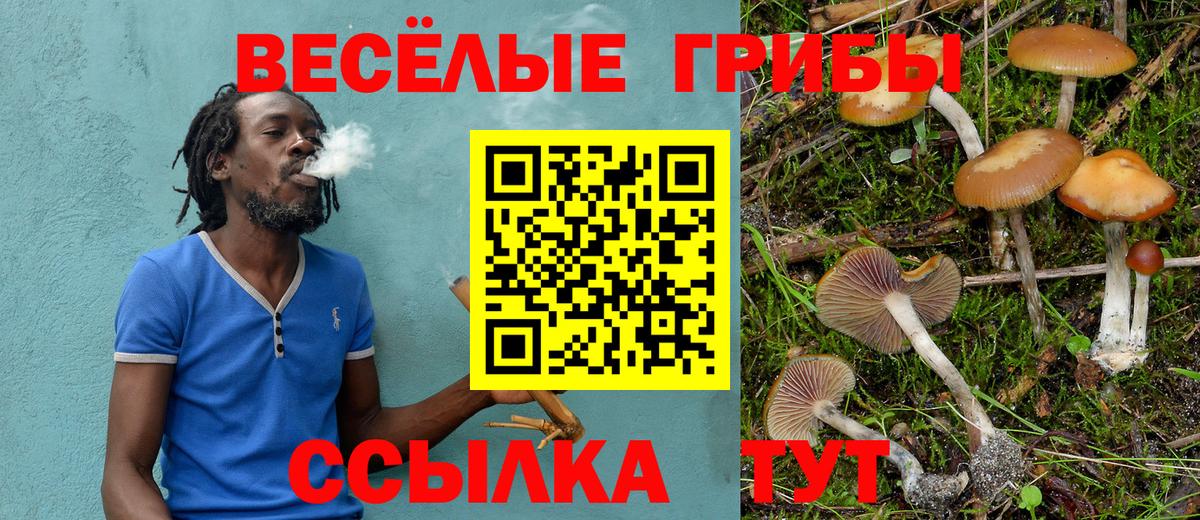 Псилоцибиновые грибы прущие грибы Троицк