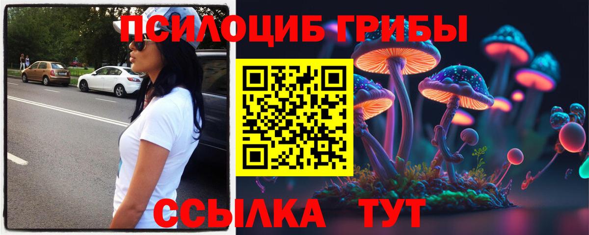 Псилоцибиновые грибы Cubensis  Псилоцибиновые грибы прущие грибы  Вход с VPN  Троицк 